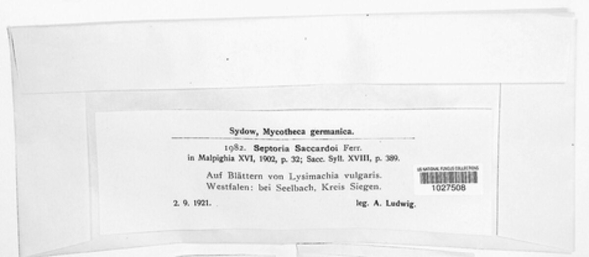 Septoria saccardoi image